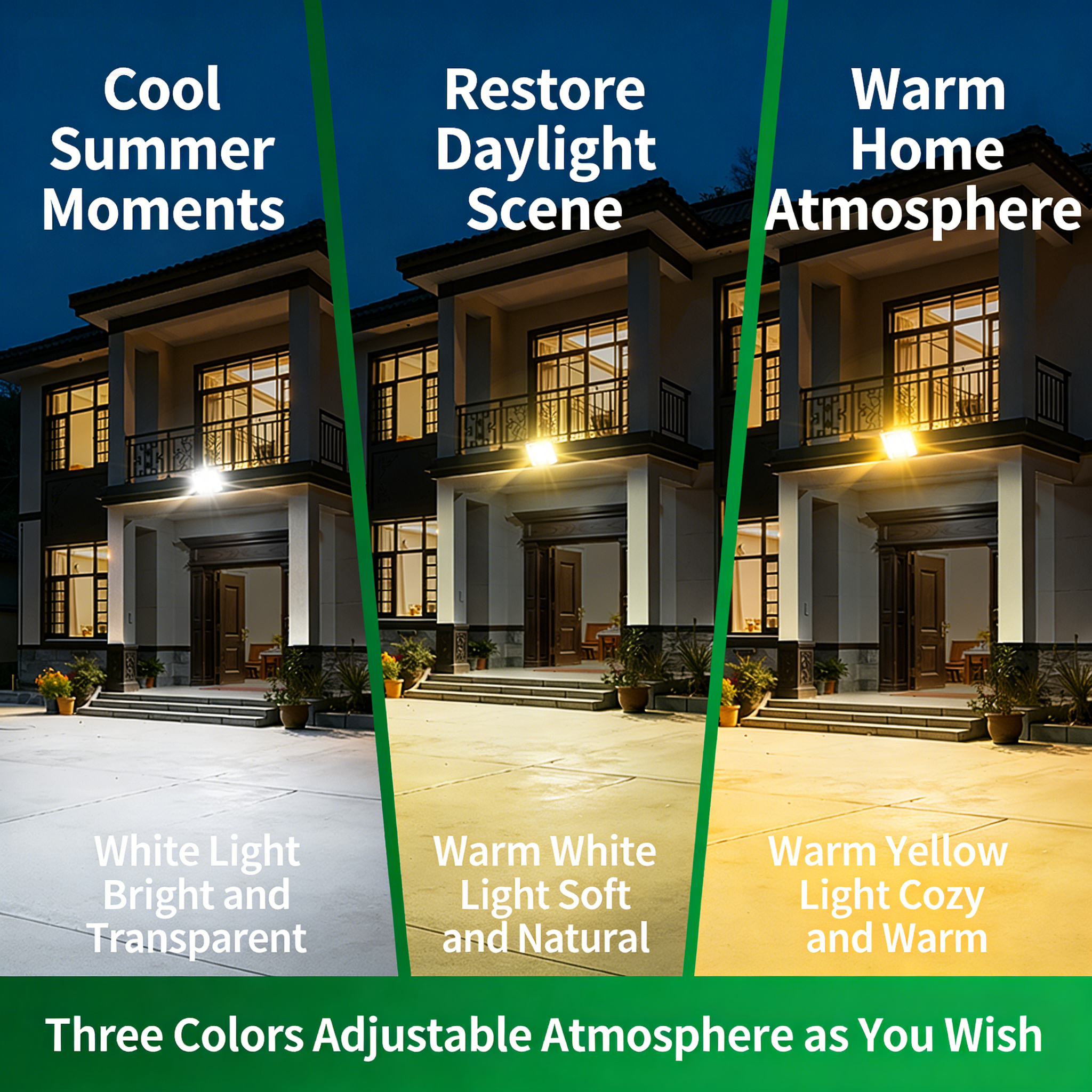 view